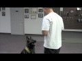 Mark Spivak- CPT Dog Trainer