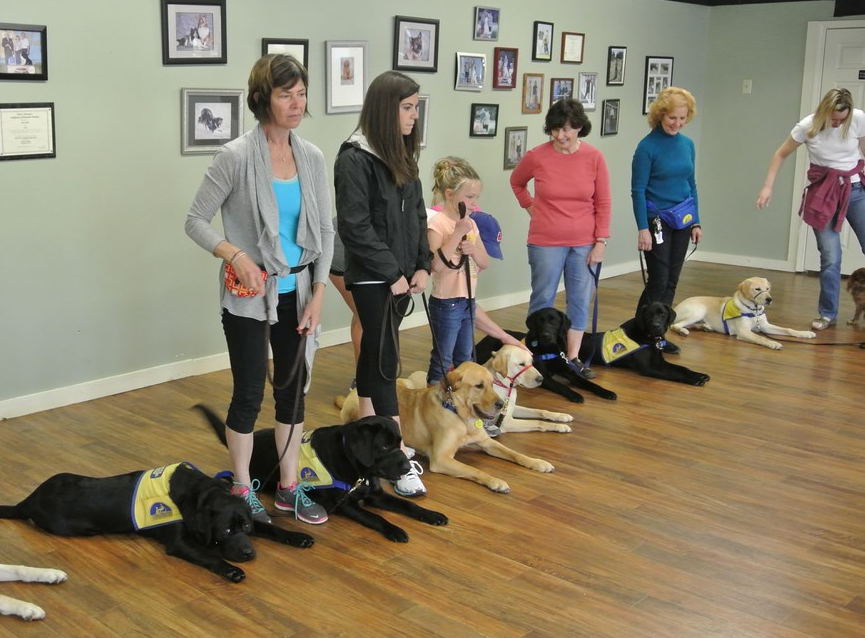 Service Dog Training | Eugene Dog Training | CPT Training