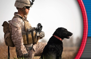 CPT President Mark Spivak Co-Presents at the 2014 Department of Defense Canine Science & Technology Workshop