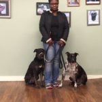 Leash Walking Reactivity- Remi, Luckie, and Blue