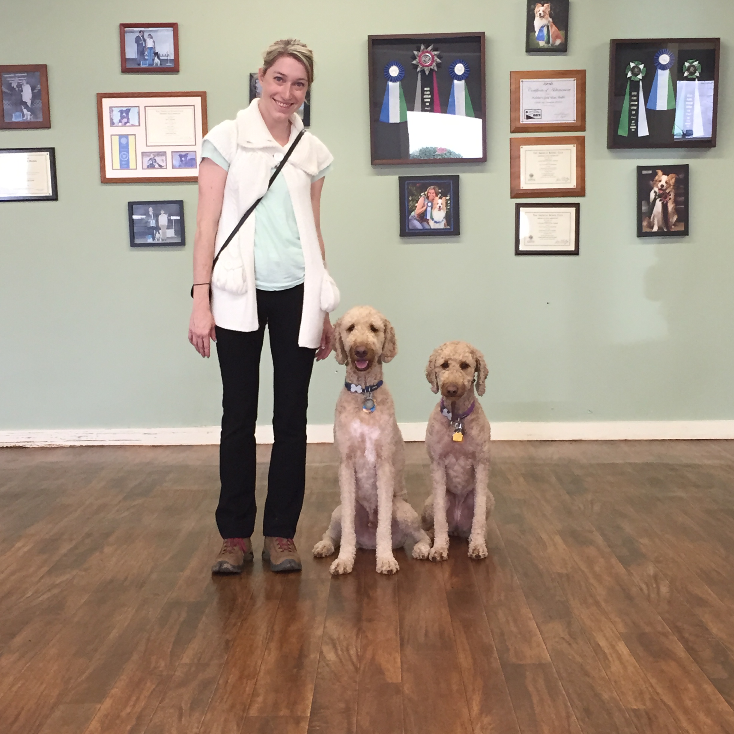 Elizabeth Resolves Her Dogs’ On-Leash Reactivity