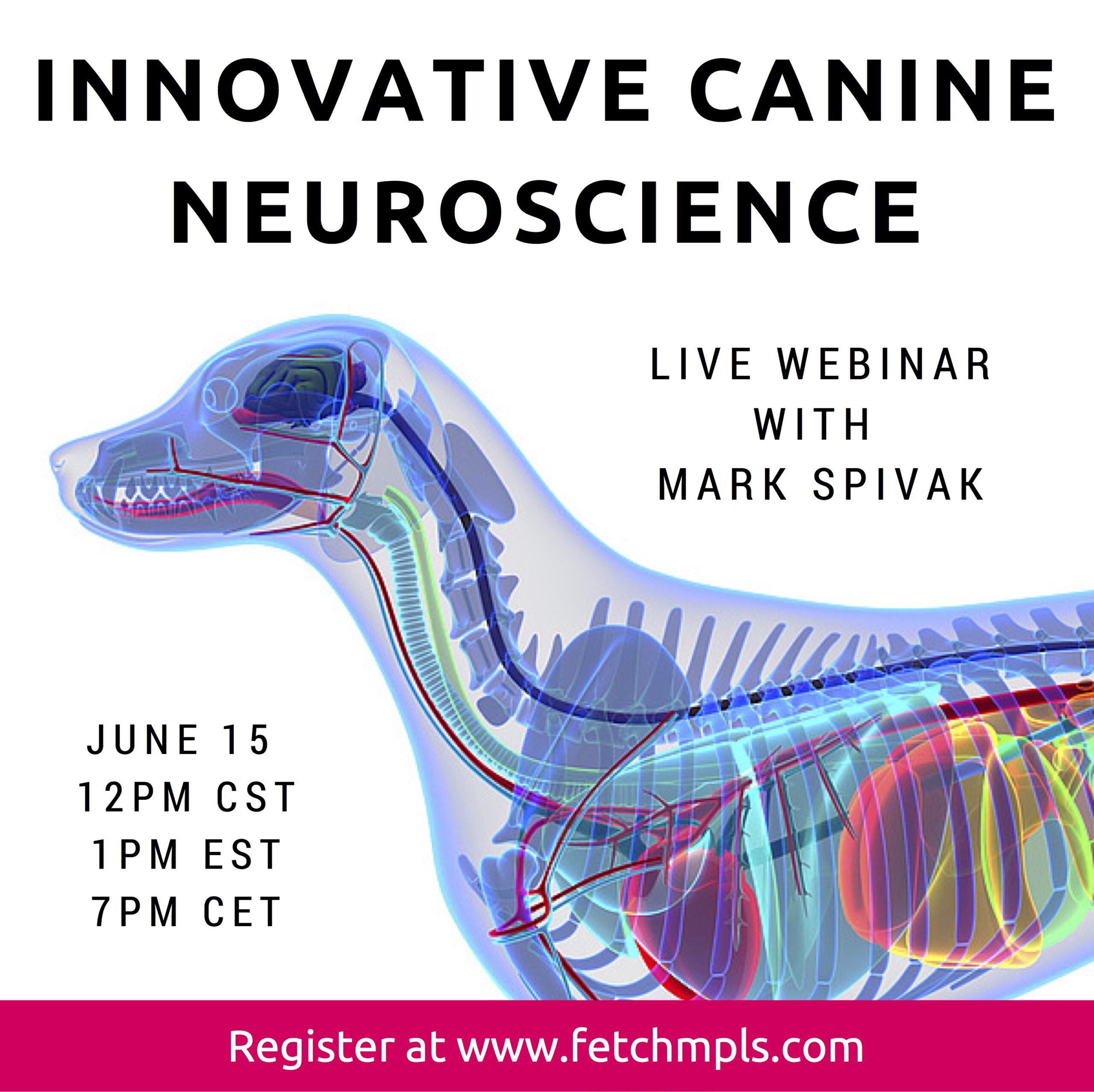 CPT’s Mark Spivak Conducting International Webinar- Innovative Canine Neuroscience