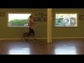 Kristin and Dani Learn Heeling During Their Private Lesson