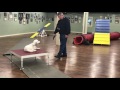 Mico Demonstrates His Intermediate Agility Skills