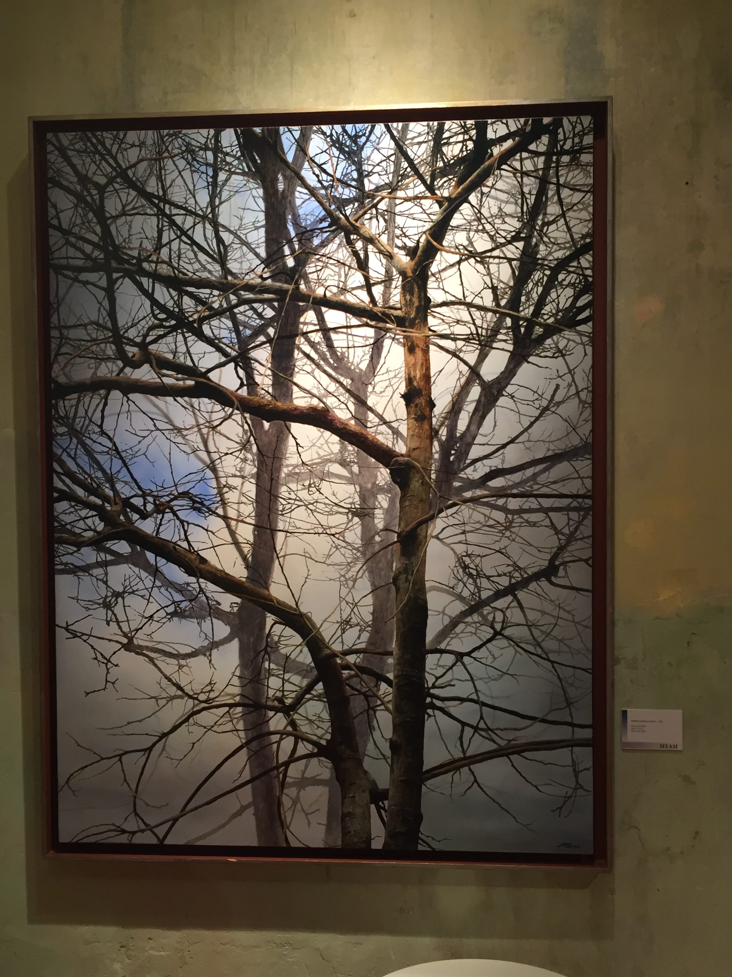 Museu Europeu d’Art Modern- Barcelona- by Andrés Castellanos. In the right artist's hands lighting can be adapted so that a photograph of a tree develops accentuated appeal.