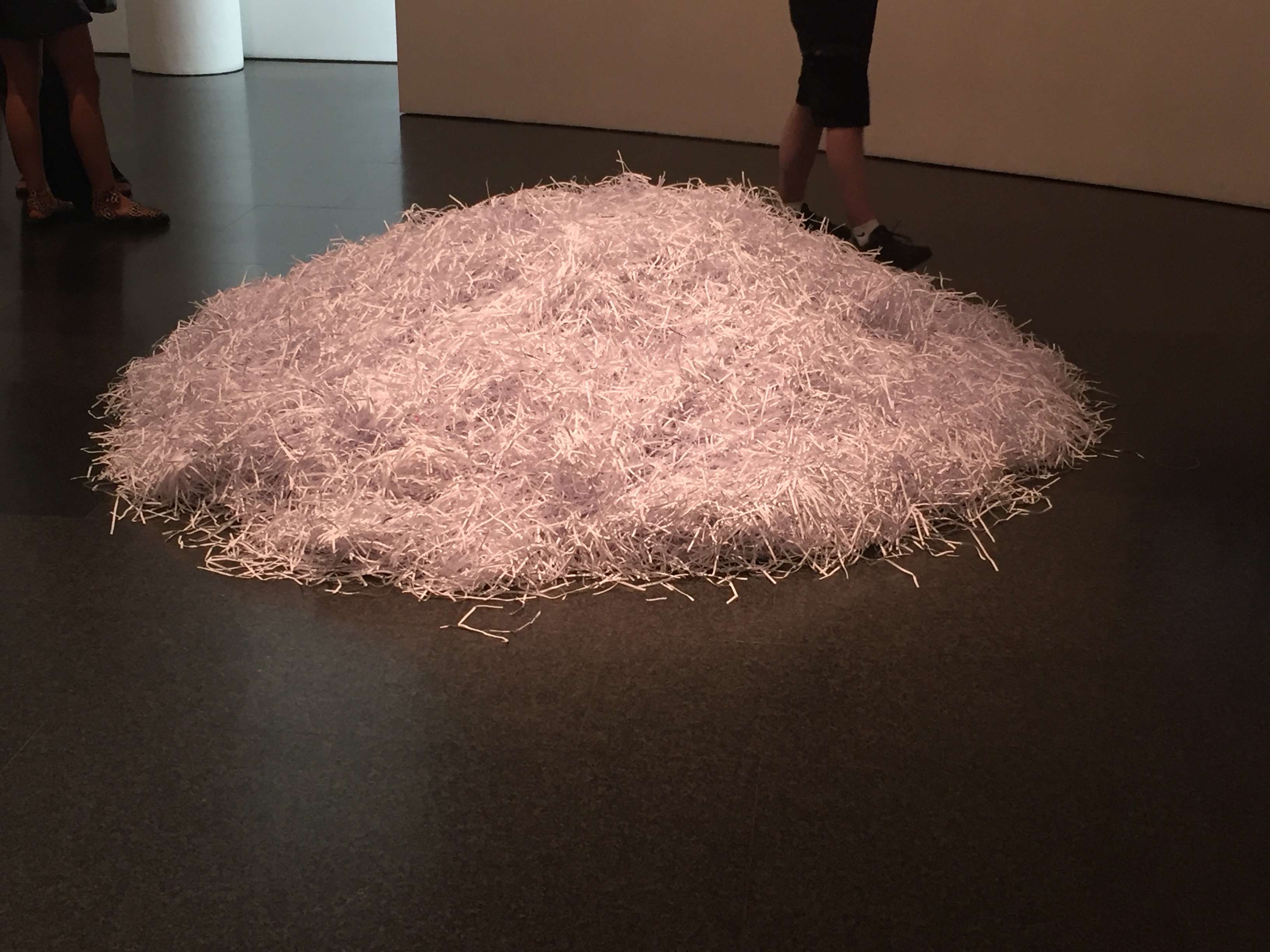 Museu d’Art Contemporani de Barcelona- Although the forensic art exhibit was interesting, the most visually appealing item in the entire museum was a mound of paper waste from a shredder, which was surprisingly aesthetic in a Warhol-esque way.