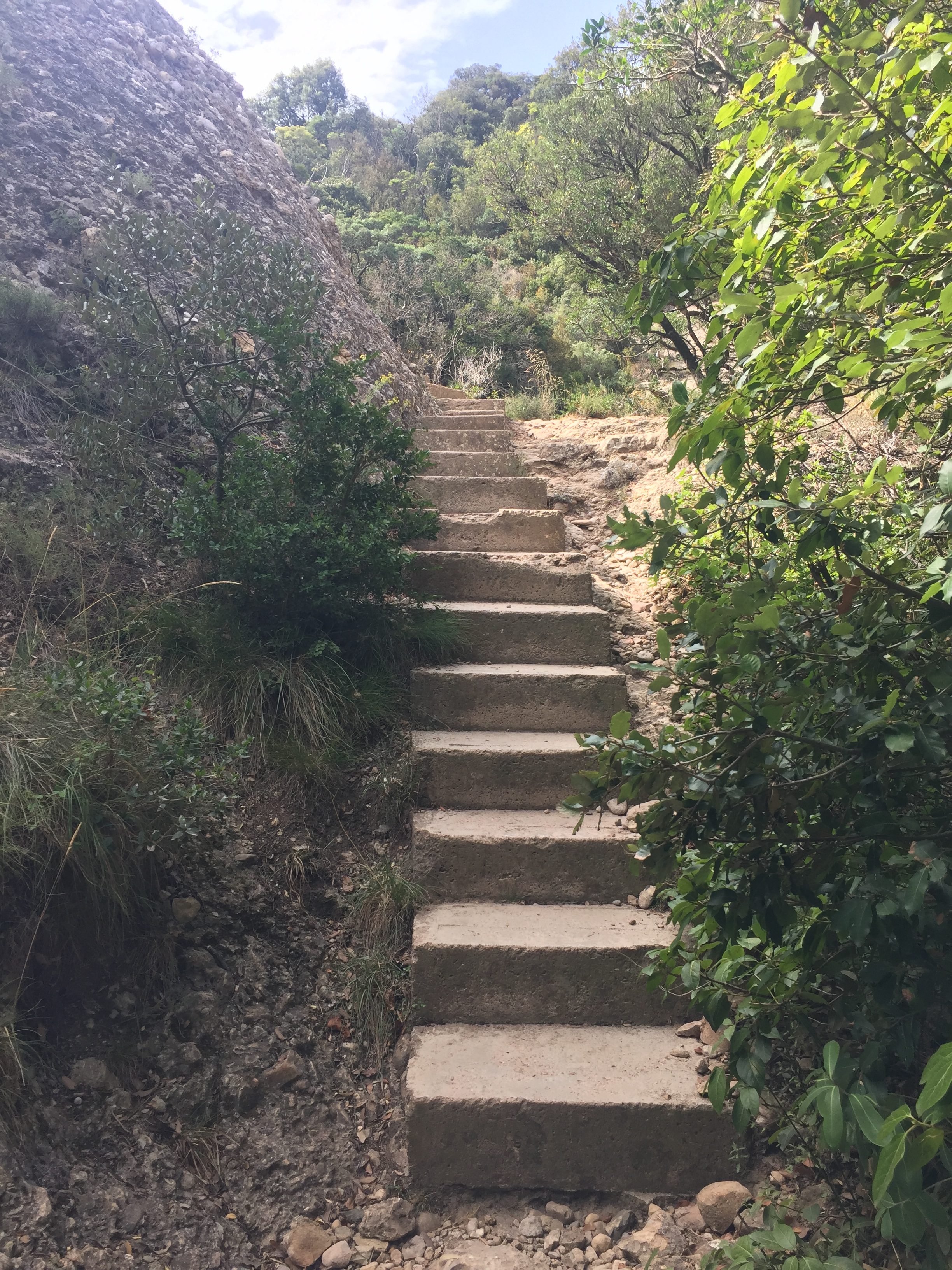 The trails included steps to help hikers handle the steep ascent.