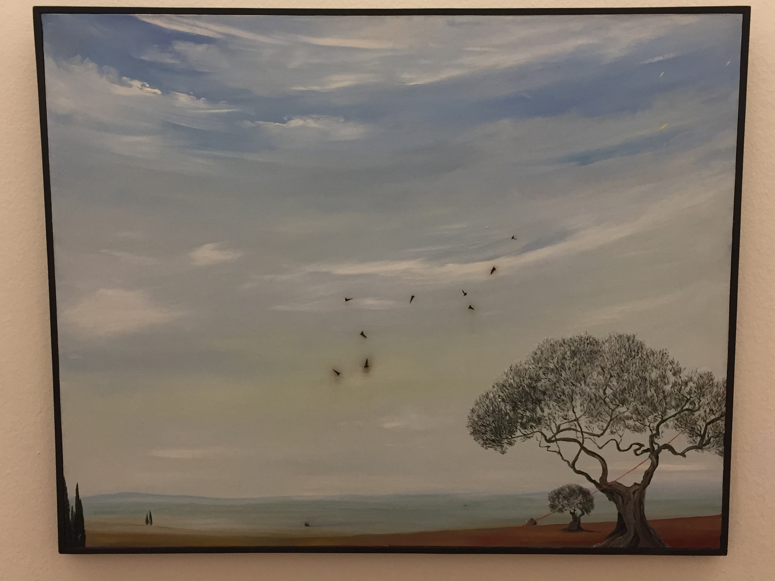 Dali also enjoyed artistically exploring nature.