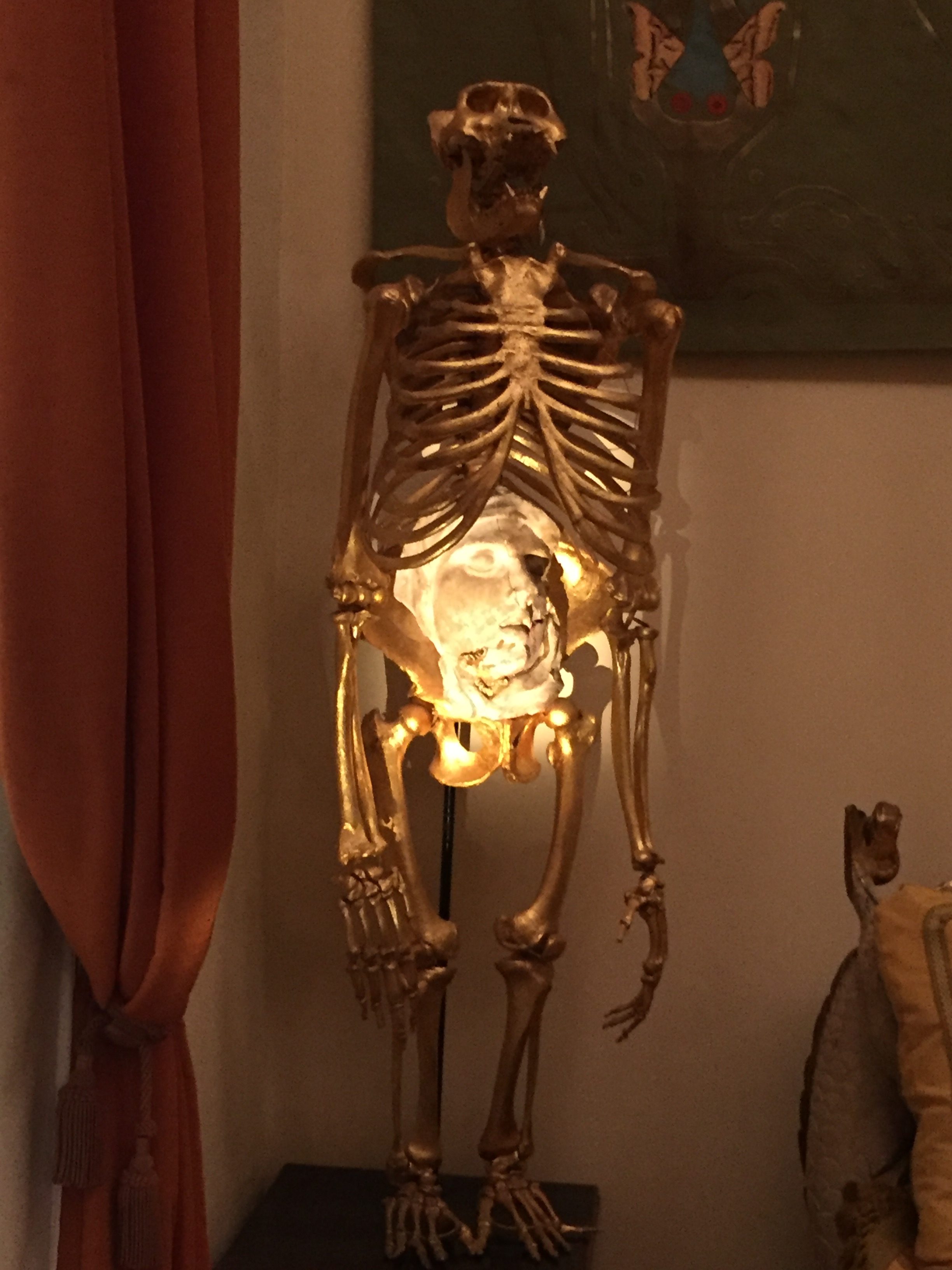 Dali's skeleton sculpture is probably a little different than the skeleton you used in anatomy class.