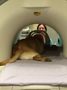 2015-01-31 Harley in Scanner-2