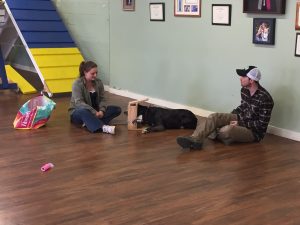 MRI Dogs- Ashley Prichard