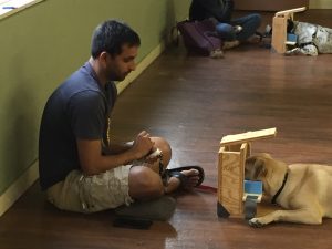 MRI Dogs
