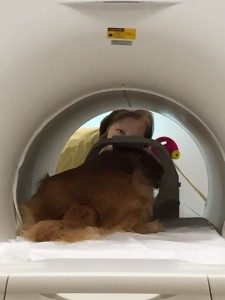 CPT-Emory fMRI Tryouts