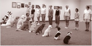 CPT Group Class- Sit Stay