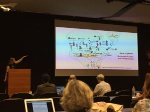 Elinor Karlsson of the University of Massachusetts Medical School discussing the polygenetic complexity of canine behavior at the Canine Science Conference held on the campus of Arizona State University in Tempe, AZ.