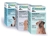 Clomicalm was the first drug to receive FDA approval for treating canine separation anxiety.