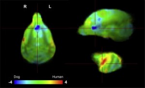 Scent of the Familiar Scent of the Familiar