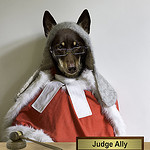 Dog-Dressed-as-Judge. CPT expert witness services.