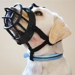 A dog wearing the Ultra Basket Muzzle