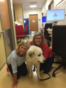 Clarice the Great Pyrenees Therapy Dog