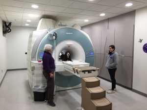 Will, our newest MRI Dog, posing with owner Emily Chapman (L) and Ashley Prichard (R) of the Emory Canine Cognitive Neuroscience Laboratory.