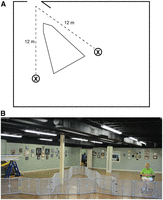The schematic of the Y-maze for Experiment 6B and an accompanying photograph. Praise vs. Food