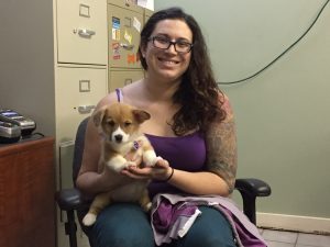 CPT Hands-On Service Dog Program