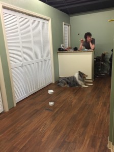 The CPT Canine Marshmallow Test