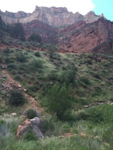 Grand Canyon- A feeling of accomplishment.