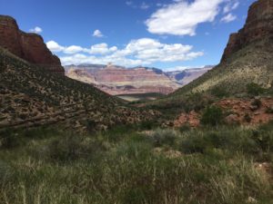 Grand Canyon- A long way gone. A long way yet to go.