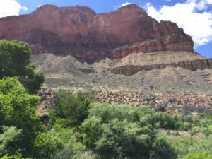 Grand Canyon- A feeling of accomplishment as I look up to where I started.