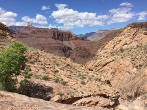 Grand Canyon- Red sandstone formations at a distance.
