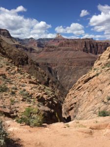 Grand Canyon- Red sandstone formations.
