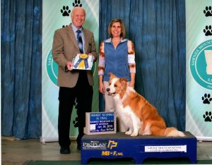 Karen Smalley: Karen and Bodhi's first High In Trial.
