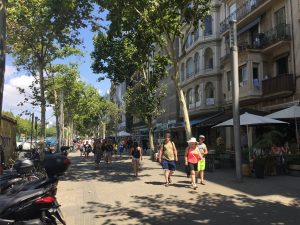 Passeig de Joan de Borbó- However, Barcelona's main streets are much wider, both for automobiles and foot traffic.