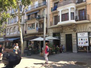Passeig de Joan de Borbó- The main streets usually are designed with shops or restaurants at street level and several floors of residential apartments above, where the edifices of the buildings usually have great detail and aesthetic appeal.