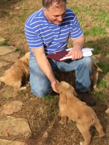 Litter evaluation- CPT
