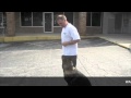 Mark Spivak- CPT Dog Trainer