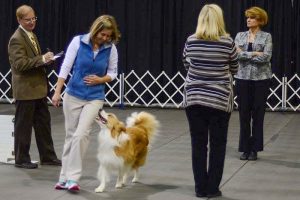 Karen Smalley: Karen Smalley and Bodhi performing Open off-leash Figure-8 heeling. Photo courtesy of L. A. Freed.