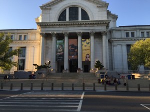 The Smithsonian Natural History Museum- Washington, DC.