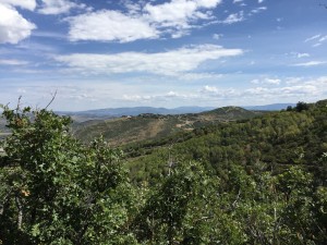 Park City Trail Run and Hike