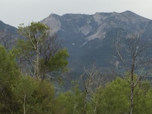 The landscape from horseback- Alpine WY.