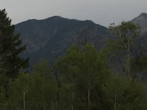 The Wyoming landscape from horseback- Alpine, Wyoming.