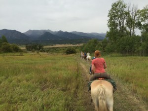 Exploring the wilderness on horseback- Alpine, WY.