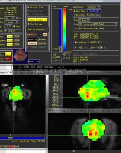 Mark Spivak, Greg Berns, CPT, Dogs, The Dog Project, MRI, fMRI