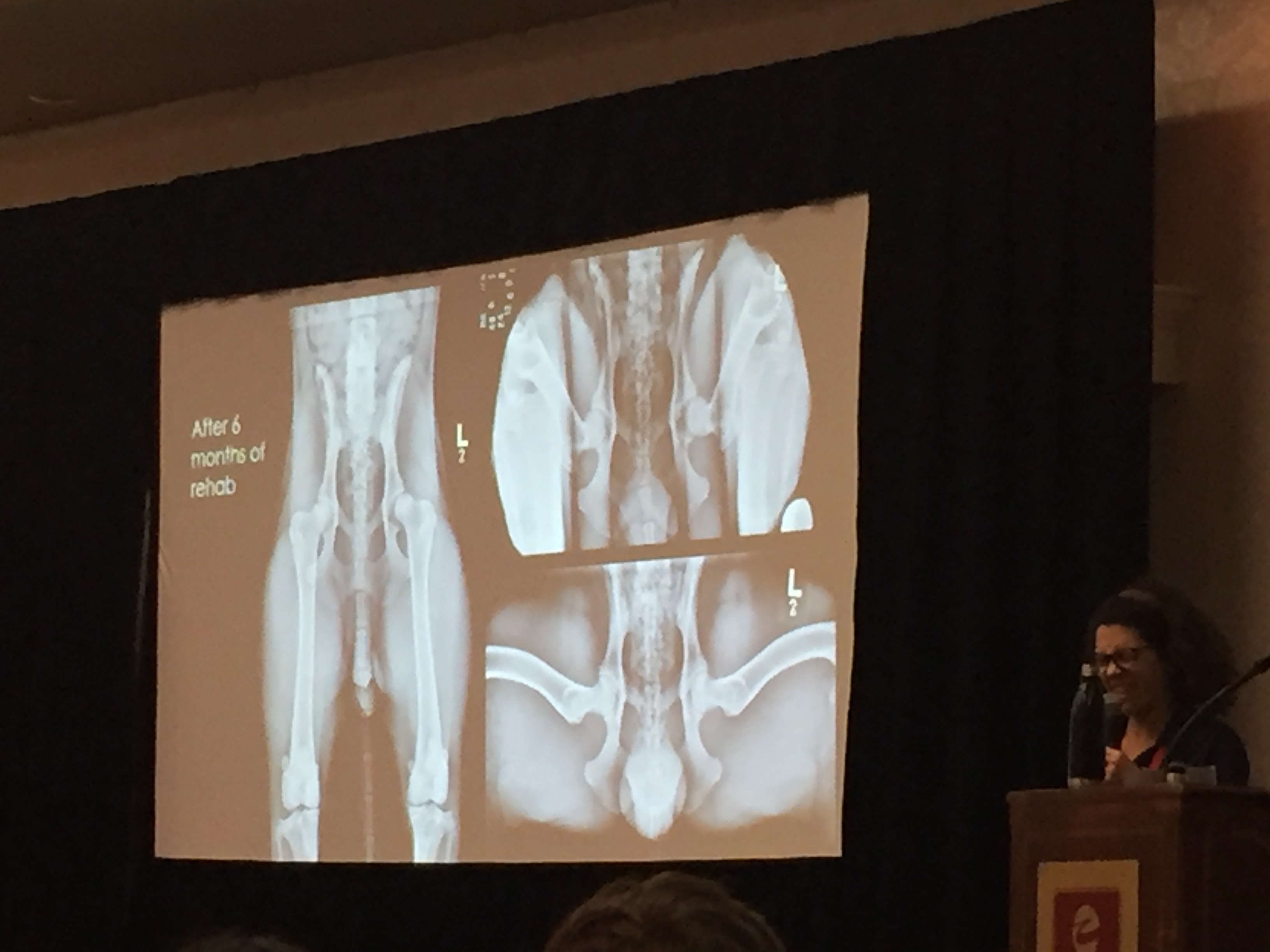 PennVet Working Dog Conference