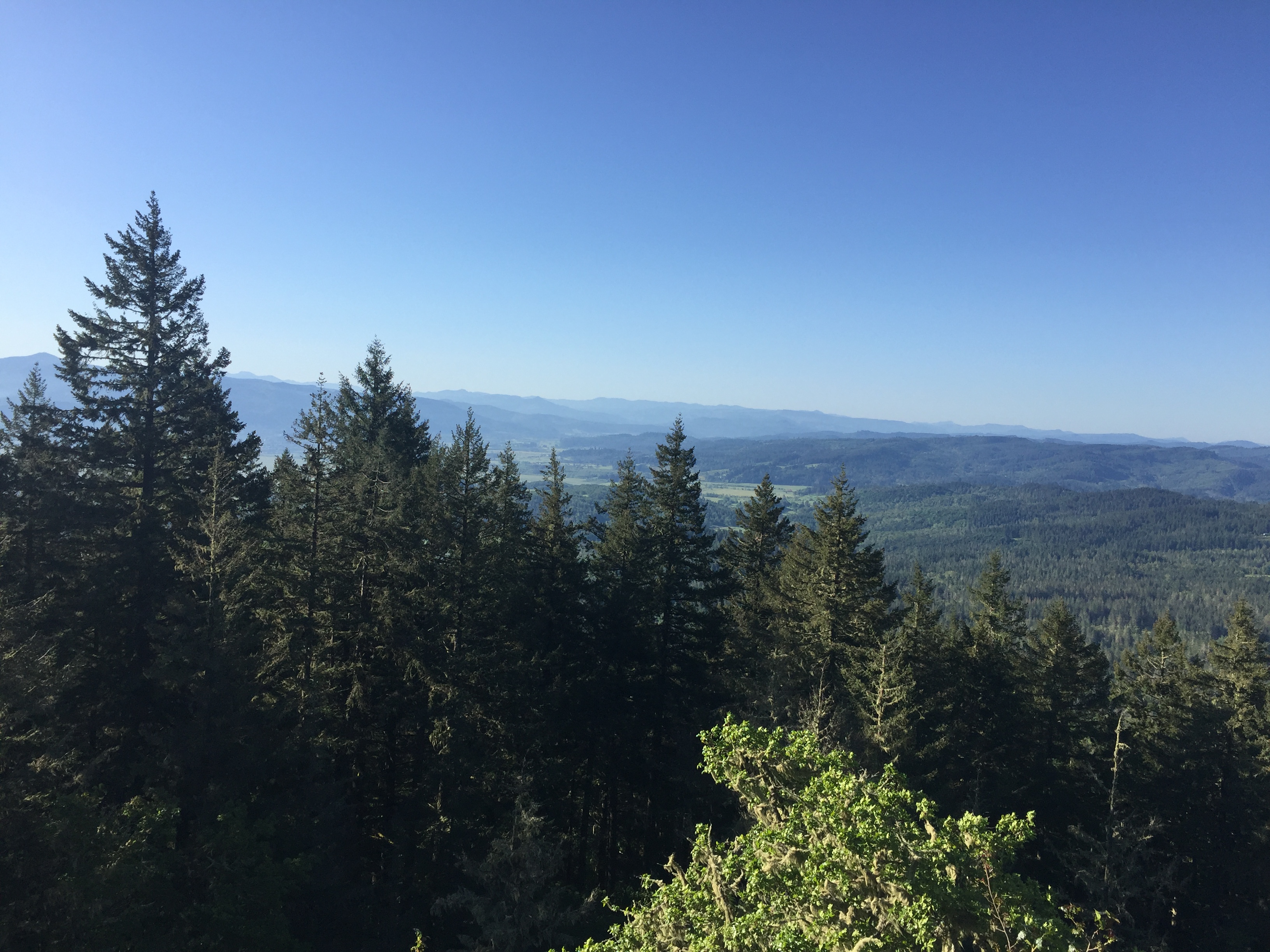 Spencer Butte