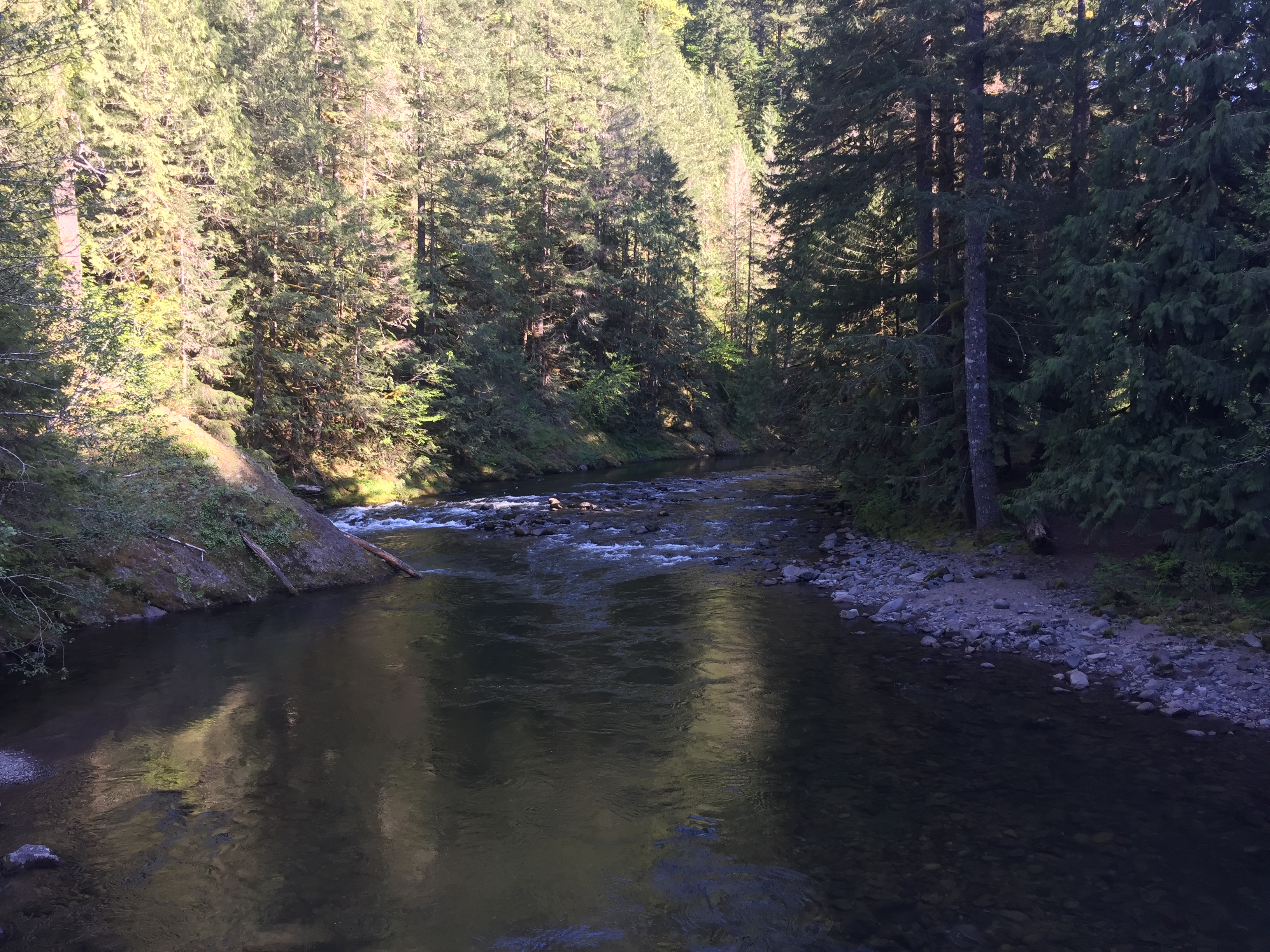 Mount Hood- Salmon River Trail