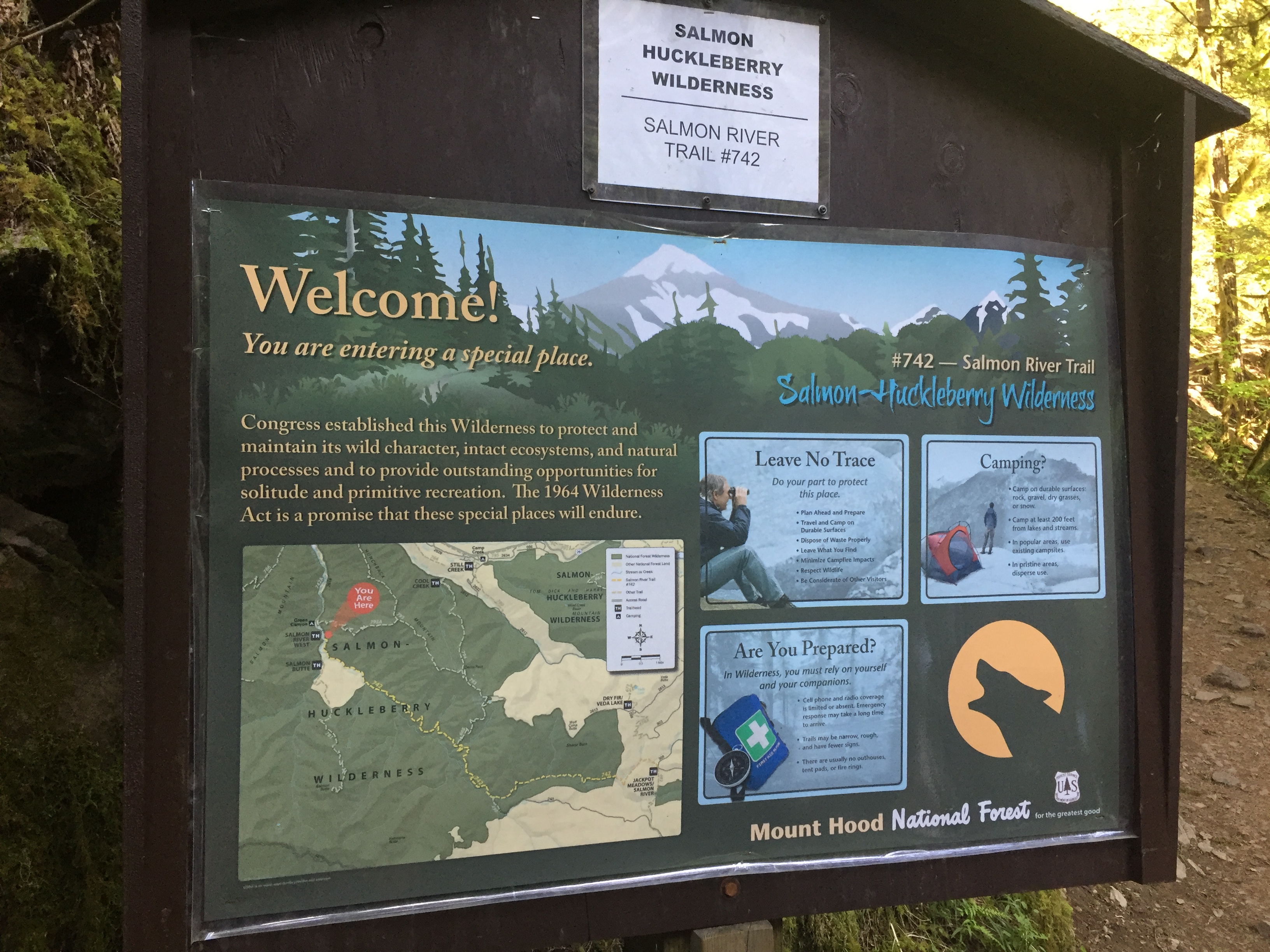 Mount Hood- Salmon River Trail