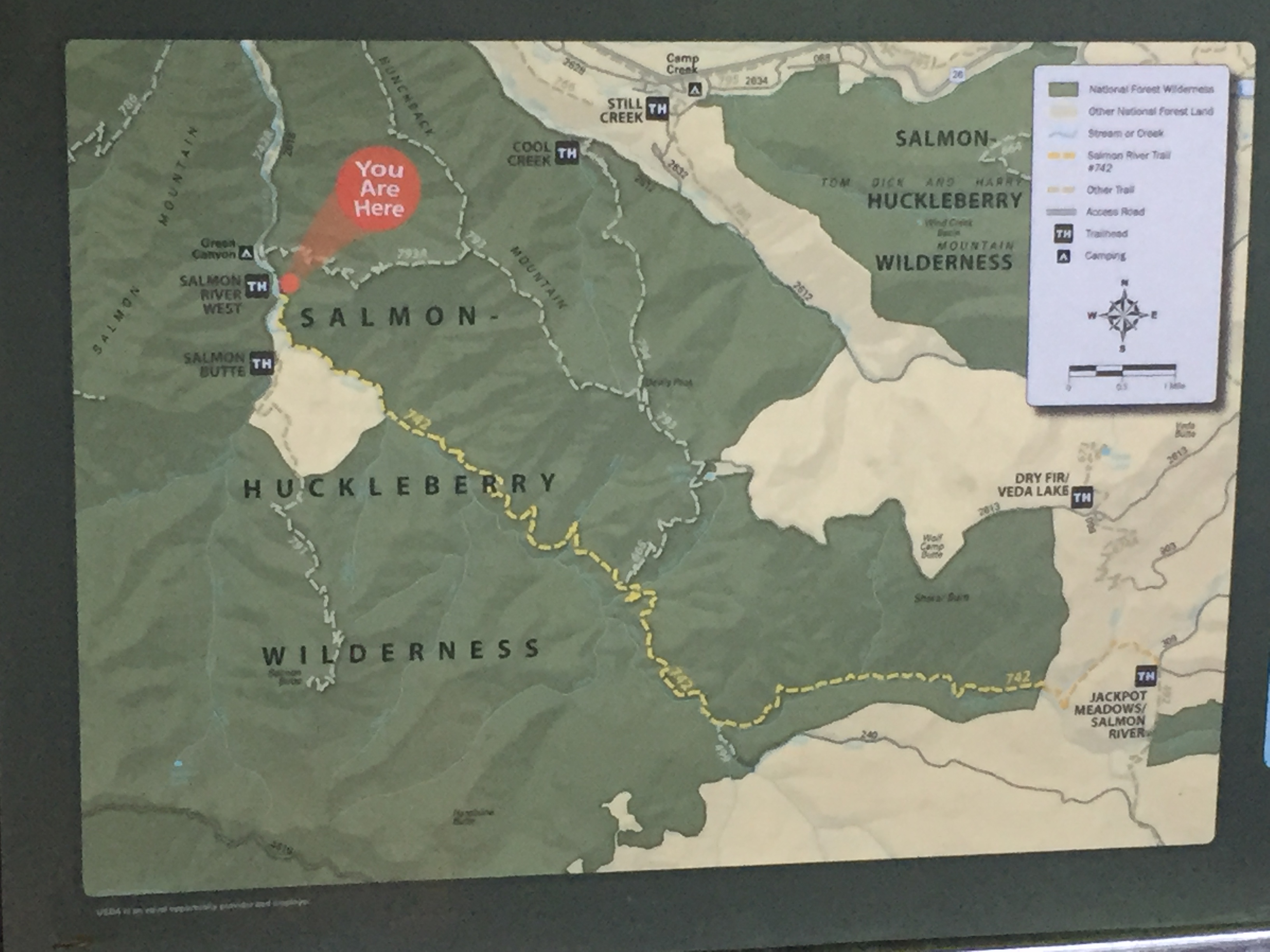 Mount Hood- Salmon River Trail